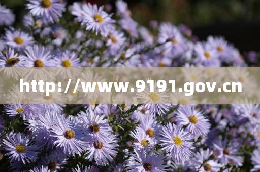 http://www.9191.gov.cn