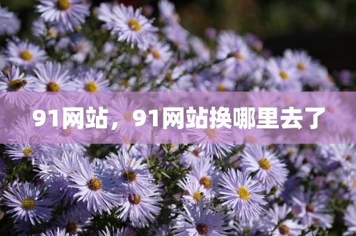 91网站，91网站换哪里去了