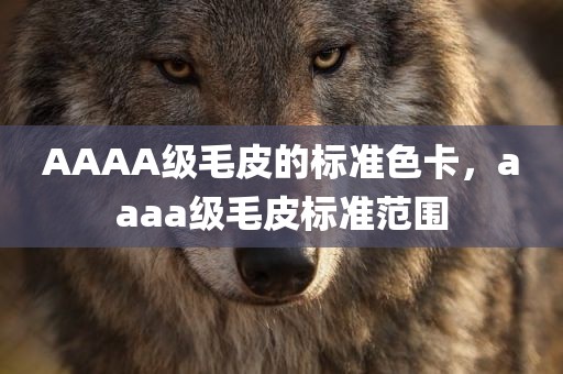 AAAA级毛皮的标准色卡，aaaa级毛皮标准范围