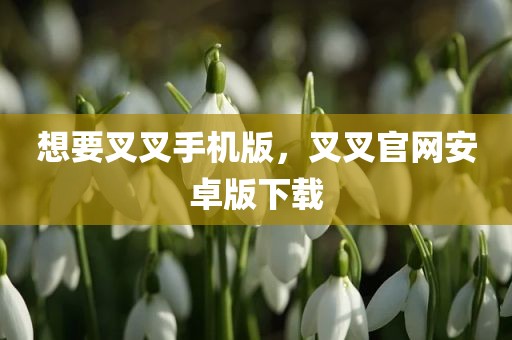想要叉叉手机版，叉叉官网安卓版下载