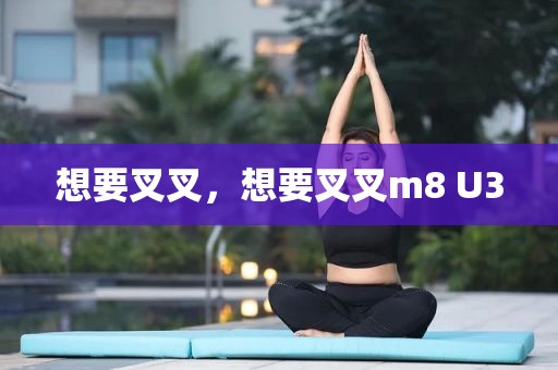 想要叉叉，想要叉叉m8 U3