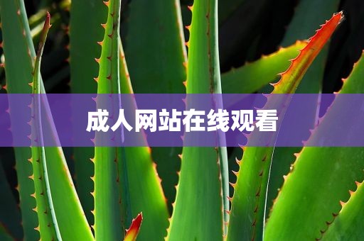 成人网站在线观看