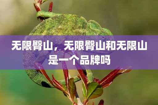 无限臀山，无限臀山和无限山是一个品牌吗
