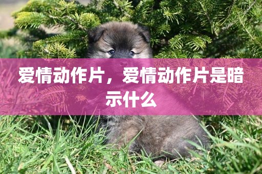 爱情动作片，爱情动作片是暗示什么