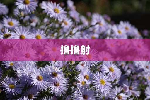 撸撸射