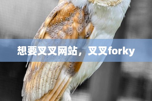 想要叉叉网站，叉叉forky