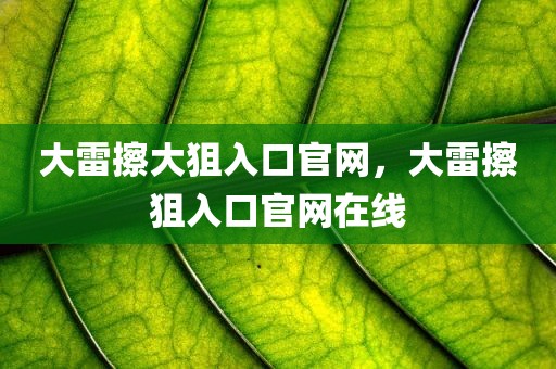 大雷擦大狙入口官网，大雷擦狙入口官网在线
