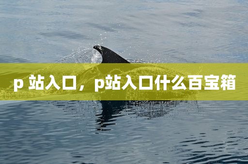 p 站入口，p站入口什么百宝箱