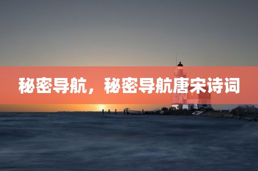 秘密导航，秘密导航唐宋诗词