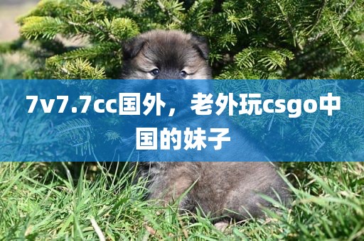 7v7.7cc国外，老外玩csgo中国的妹子