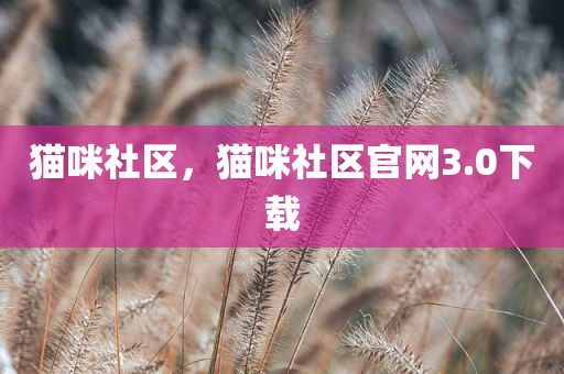 猫咪社区，猫咪社区官网3.0下载