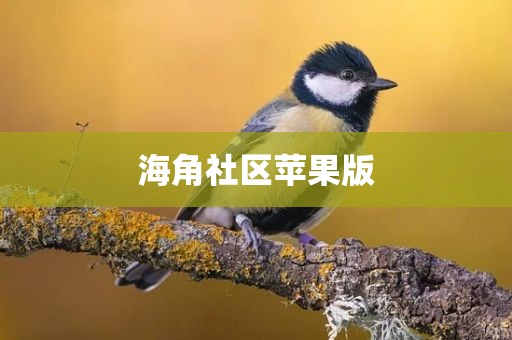 海角社区苹果版
