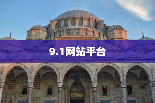 9.1网站平台