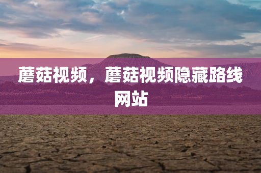 蘑菇视频，蘑菇视频隐藏路线网站