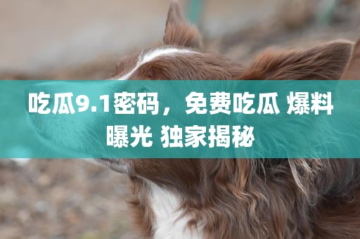 吃瓜9.1密码，免费吃瓜 爆料曝光 独家揭秘