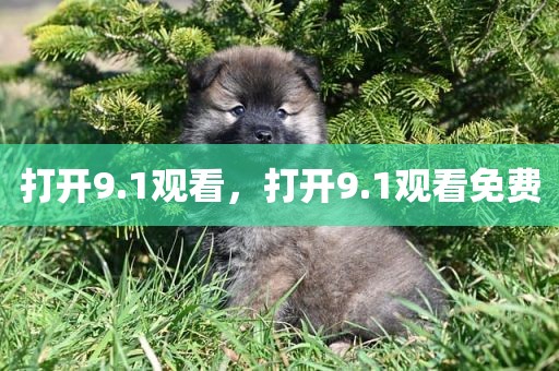 打开9.1观看，打开9.1观看免费