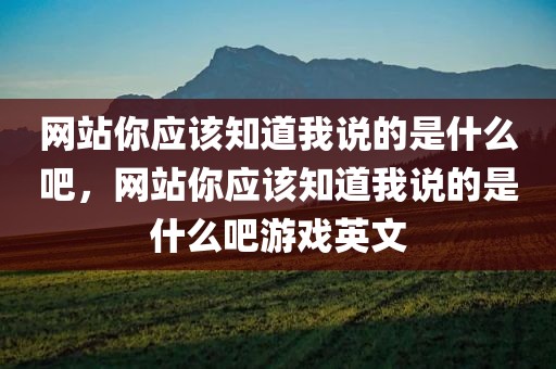 网站你应该知道我说的是什么吧，网站你应该知道我说的是什么吧游戏英文