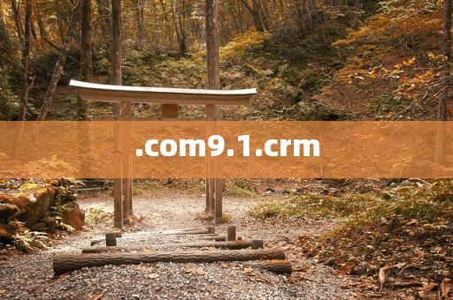 .com9.1.crm
