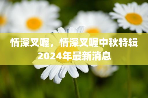 情深叉喔，情深叉喔中秋特辑2024年最新消息