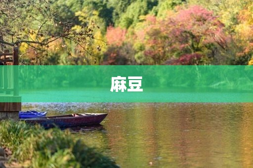 麻豆