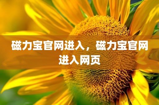 磁力宝官网进入，磁力宝官网进入网页