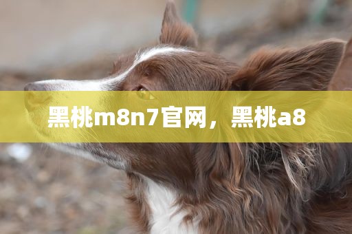 黑桃m8n7官网，黑桃a8