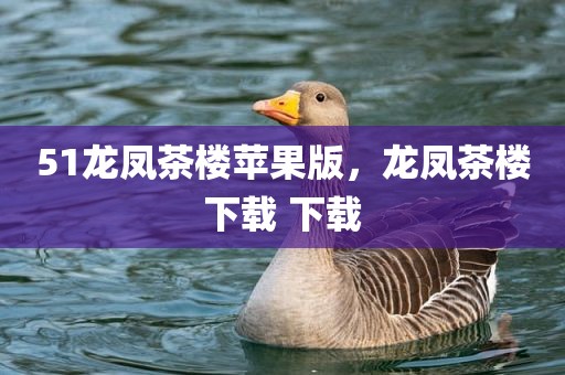 51龙凤茶楼苹果版，龙凤茶楼下载 下载