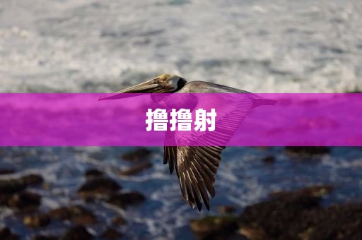 撸撸射