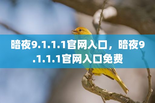 暗夜9.1.1.1官网入口，暗夜9.1.1.1官网入口免费