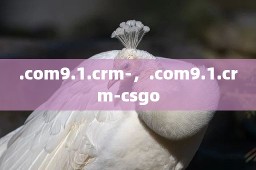 .com9.1.crm-，.com9.1.crm-csgo