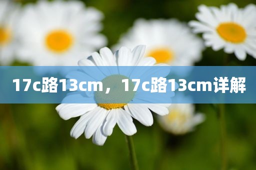 17c路13cm，17c路13cm详解