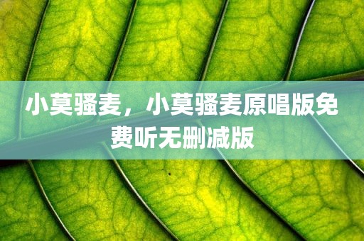 小莫骚麦，小莫骚麦原唱版免费听无删减版