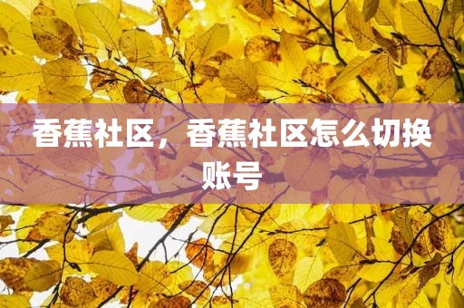 香蕉社区，香蕉社区怎么切换账号