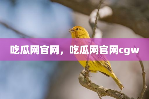 吃瓜网官网，吃瓜网官网cgw