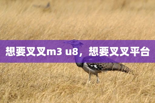 想要叉叉m3 u8，想要叉叉平台