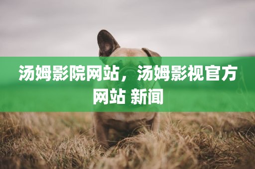 汤姆影院网站，汤姆影视官方网站 新闻