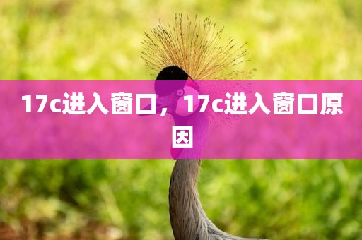 17c进入窗口，17c进入窗口原因