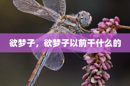 欲梦子，欲梦子以前干什么的