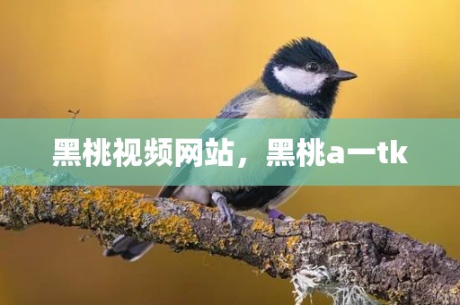 黑桃视频网站，黑桃a一tk