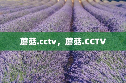 蘑菇.cctv，蘑菇.CCTV