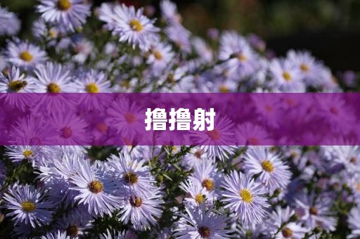 撸撸射
