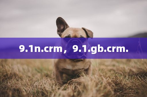 9.1n.crm，9.1.gb.crm.