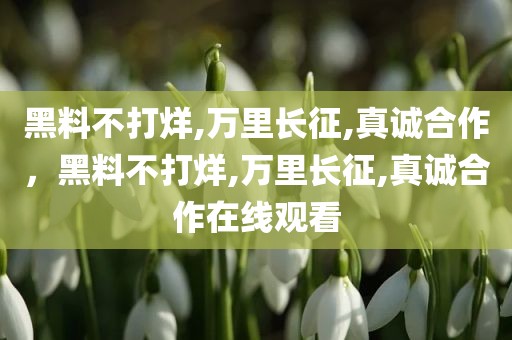 黑料不打烊,万里长征,真诚合作，黑料不打烊,万里长征,真诚合作在线观看