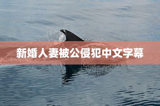 新婚人妻被公侵犯中文字幕