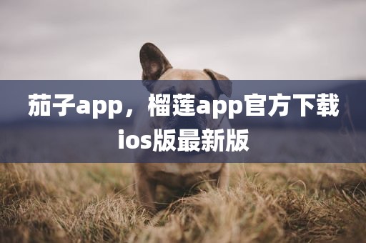 茄子app，榴莲app官方下载ios版最新版