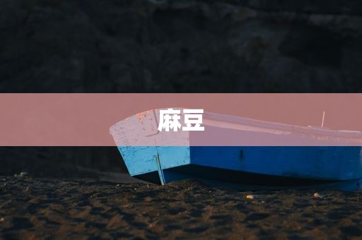 麻豆