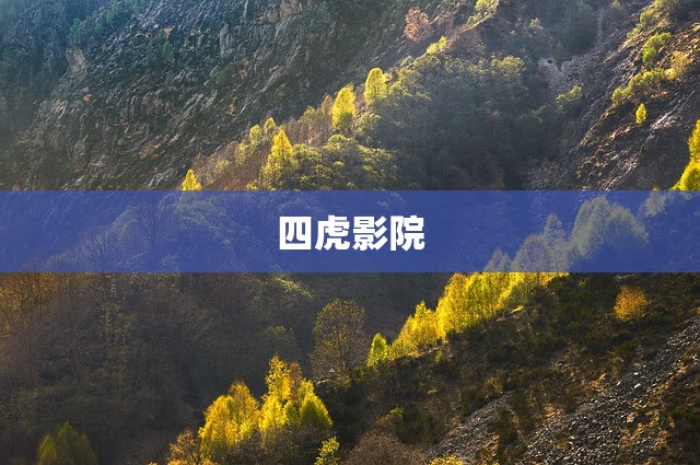 四虎影院