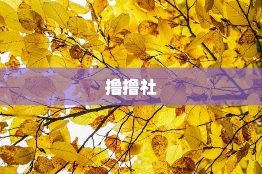 撸撸社