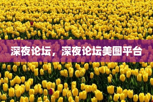 深夜论坛，深夜论坛美图平台