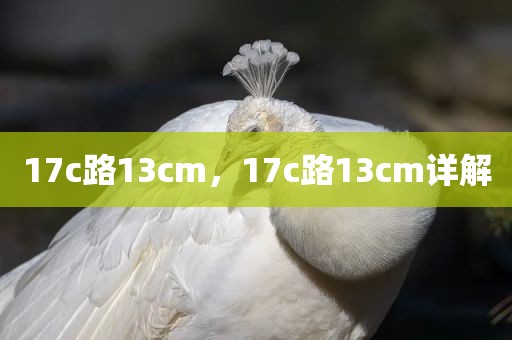 17c路13cm，17c路13cm详解